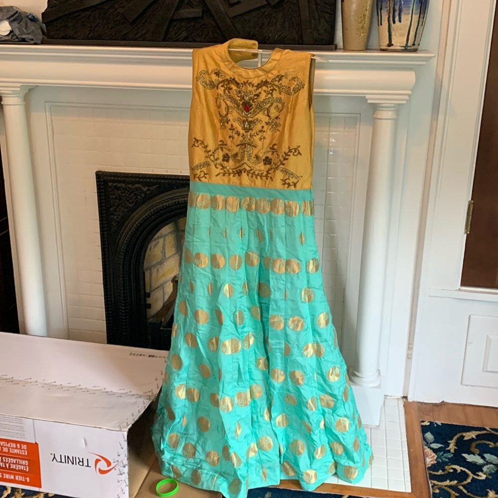 Gorgeous Indian gown . I saw it in a consignment store and had to have it.